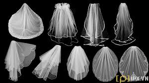 Wedding Veil Brush Photoshop Photoshop Co Dau Cười