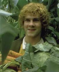 Meriadoc Brandybuck Lord Of The Rings Meriadoc Better Known As Merry Is Another Character From Lotr He Is Also Related Lord Of The Rings The Hobbit Lord