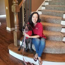 The basic principles of training are the same but tools help create variety Dog Training Camps Smart Dogs Training And Lodging