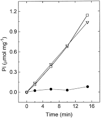 The energy difference could be lost to the surroundings in the form of. Conformational Changes Generated In Groel During Atp Hydrolysis As Seen By Time Resolved Infrared Spectroscopy Journal Of Biological Chemistry