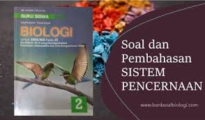 Kunci jawaban uji kompetensi biologi kelas 10 kurikulum 2013. Soal Dan Pembahasan Bab 6 Sistem Pencernaan Makanan Buku Erlangga Bsb