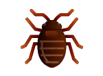 Request a free estimate today! Residential Pest Control Allgood Pest Solutions Georgia Tennessee
