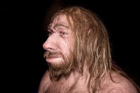 52 Neanderthal ideas | neanderthal, ancient humans, hominid