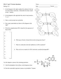 Student exploration rna and protein synthesis answer key activity b. Michael Villalobos Dna Structure And Replication