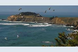 34550 S Hwy 1, Gualala, CA 95445 - MLS 322072848 - Coldwell Banker