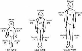 Appropriately consented photographs of the burn are very helpful for assessment and. Body Diagram For Estimation Of Total Burned Surface Area Tbsa In Download Scientific Diagram