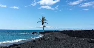 Located on the southeastern kau coast, punaluu black sand beach is one of the most famous black sand beaches in hawaii. Black Sand Beaches Of Hawaii Big Island And Maui 2021 Cosmopoliclan