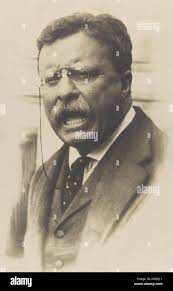 Theodore roosevelt hi-res stock photography and images