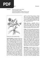 Image result for Gardenia transvenulosa