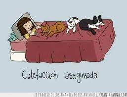 Nada Mejor Para Las Noches Frias Noche Fria Buenas Noches Amiga Imagenes Gifs De Buenas Noches