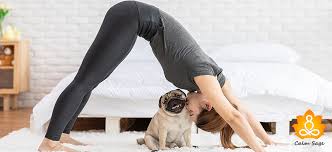 We did not find results for: 15 Relaxation Yoga Poses For Stress Relief In 2021 Updated