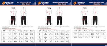 champion system performance link tri suit