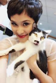 Dịch vụ thú y tại Hà Nội