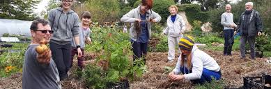 Introduce children to healthy foods using the farm to table printables and activity pages. Wwoof Uk