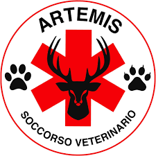 Artemis ODV