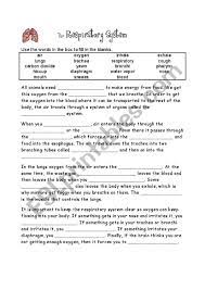 The Respiratory System Worksheet Respiratory System Body Systems Worksheets Respiratory System Activities