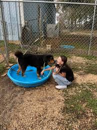 Let's get him out of the building and into a home. This boy is looking for  someone to take him in either as a foster or to adopt him. He is amazing.