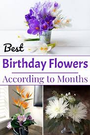Birth Month Flower Grow Kit Uk Best Birthday Flowers According To Months In 2020 Birthday Flowers Blue Passion Flower Happy Birthday Flower