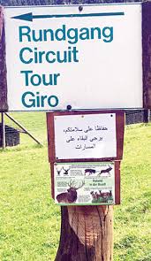 13 ملاحظة ترجمتها دول أوروبية للسياح الخليجيين جريدة الوطن