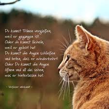 Du Kannst Tranen Anubis Tierbestattungen Trauergedicht Trauergedicht Spruche Katze Gedichte Trauer