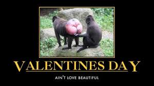 Explore our collection of motivational and famous quotes by authors you know and love. 10 Funny And Humor Pictures For Valentine S Day