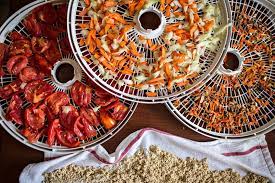 Self Made Dehydrated Backpacking Meals Slowdowncookmore Backpacking Food Trail Food Food