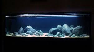 Rock Scape A Great Idea For Malawi Cichilids As They Like To Eat Plants Susswasseraquarium Cichlid Aquarium Aquarien
