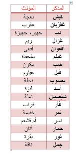 من الشيصبان للعيثوم اعرف أسماء ذكور الحيوانات وإناثها learn arabic online beautiful arabic words learning arabic