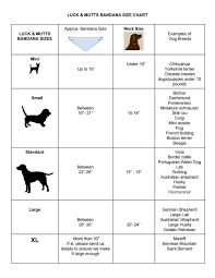 Miniature Schnauzer Size Chart 2019