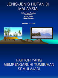 Pokok palma atau pokok arecaceae merupakan sejenis tumbuhan tropika yang banyak tumbuh di malaysia dan dijadikan tanaman industri terpenting negara ni (kelapa sawit dan kelapa) semenjak lama dulu. 1007324 Chew Faktor Hutan 2