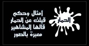 أمثال وحكم قيلت عن الحمار قالها المشاهير معبرة بالصور حكم و أقوال