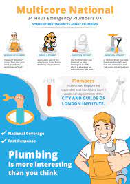Here we discuss some tools which will help to do small plumbing he looks after constructing a house, concrete, material, repairs, mep etc. Infographic Interesting Plumbing Facts Infographicbee Com