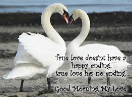 When it comes to love, most people struggle with expressing their feelings. Beautiful Good Morning Quotes Love Quotes 65 Quotes