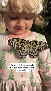 Took Lily to the butterfly emporium for my birthday today 🥰🦋 My age is at  the end… 😳