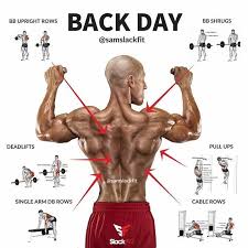 Best Back Workout Routine Best Laptop