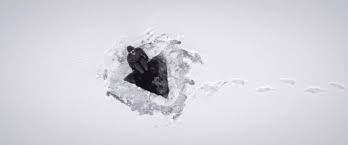 See more of johanna nordblad on facebook. Video Watch The Gorgeous Film Of Johanna Nordblad Diving Under Artic Ice Deeperblue Com