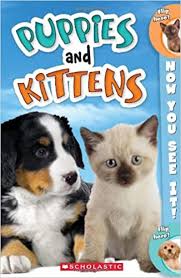 Both puppies and kittens will also benefit from a training plan. Amazon Com Now You See It Puppies And Kittens 9780545230971 Corse Nicole Books