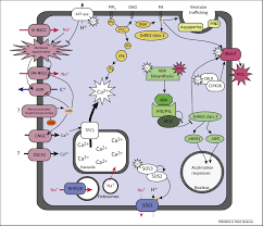 Maybe you would like to learn more about one of these? Tuning Plant Signaling And Growth To Survive Salt Trends In Plant Science