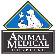 And now you can now find out early to help prevent it. All Pets Veterinary Clinic Home Facebook