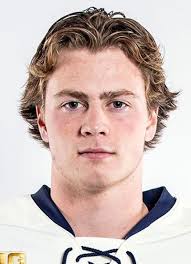 Danny Nelson Hockey Stats and Profile at hockeydb.com