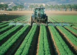 How To Become A Successful Farmer: 8 Simple Steps - Explicit Success