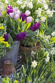 My Life In The Woods Spring Garden Planting Flowers Spring Flowers