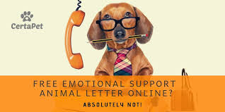 The best way to get an emotional support animal (esa) letter for housing is to talk to a licensed mental health professional (therapist, psychologist, psychiatrist, clinical social. Is A Free Emotional Support Animal Letter Online Real Certapet