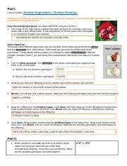 Check spelling or type a new query. Copy Of Gizmo Chicken Genetics And Practice Problems Part I Link To Gizmo Student Exploration Chicken Genetics Directions Follow The Instructions To Course Hero