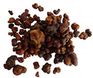 Colorado based buy magic mushrooms and truffles usa also called philosopher's stones. Magic Truffles For Sale Buy Magic Truffles With Credit Card