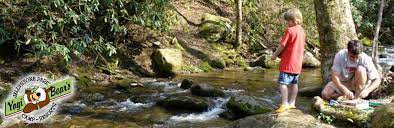 Yogi Bear S Jellystone Park Near Gatlinburg Tn Access To Smokey Mountain National Park Cabins Yurts Camping In Tennessee Camping Resort Camping Vacations