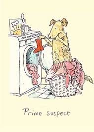 Prime Suspect Anita Jeram Jeram Funny Illustration Cute Drawings