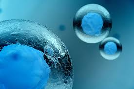 It is by example also possible to tell the instrument not to fragment single charged ions. Timstof Bruker