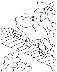Kostenlose Malvorlage Tiere Frosch Auf Einem Blatt Zum Ausmalen