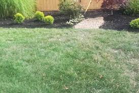 Check spelling or type a new query. Portfolio Mi Jalisco Landscaping Llc Quality Results